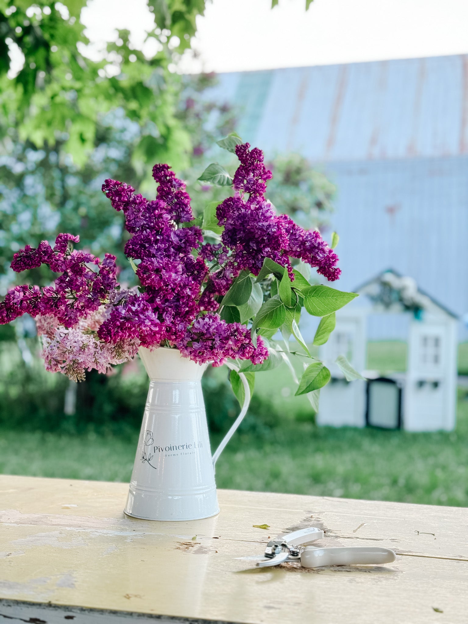 Comment prolonger la vie des lilas en bouquet ?