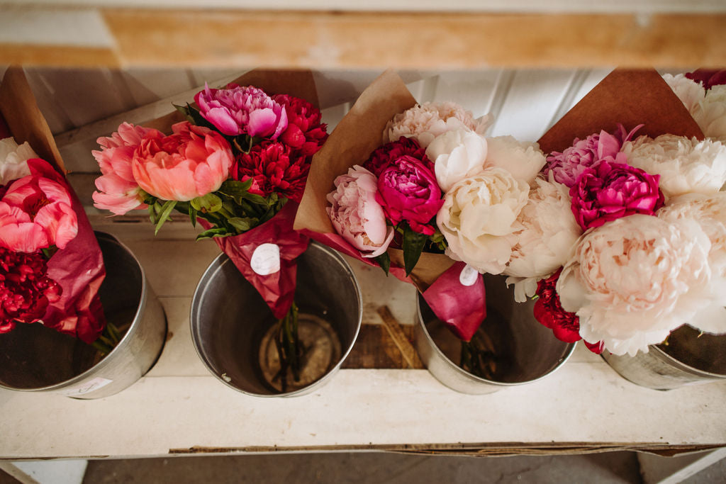 Pivoinerie Lili - Magasiner nos fleurs