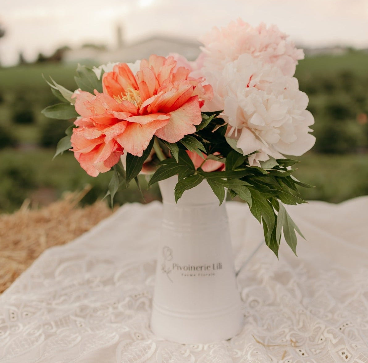 Pivoinerie Lili - Abonnement floral 2025 - Pivoine