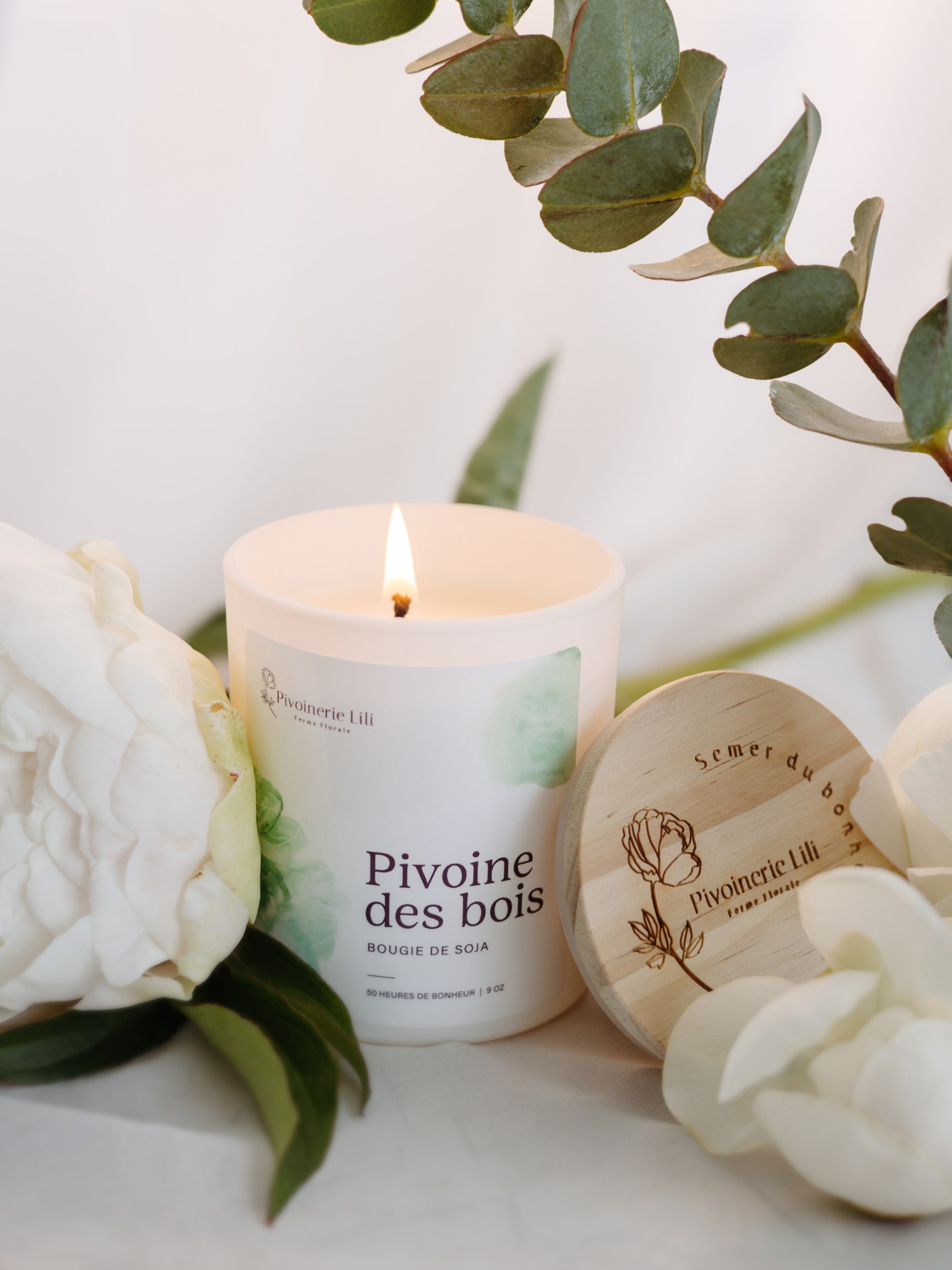 Bougie - Pivoine des Bois