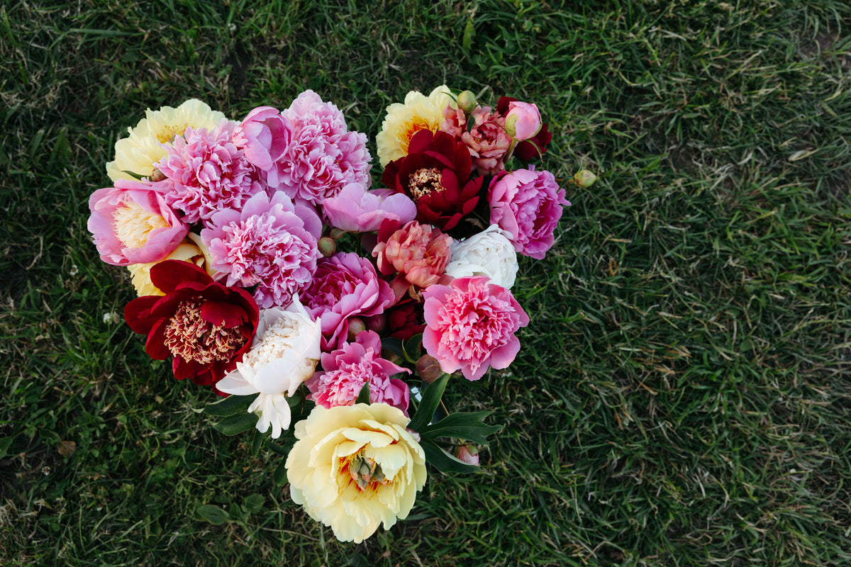 Peonies surprise bag