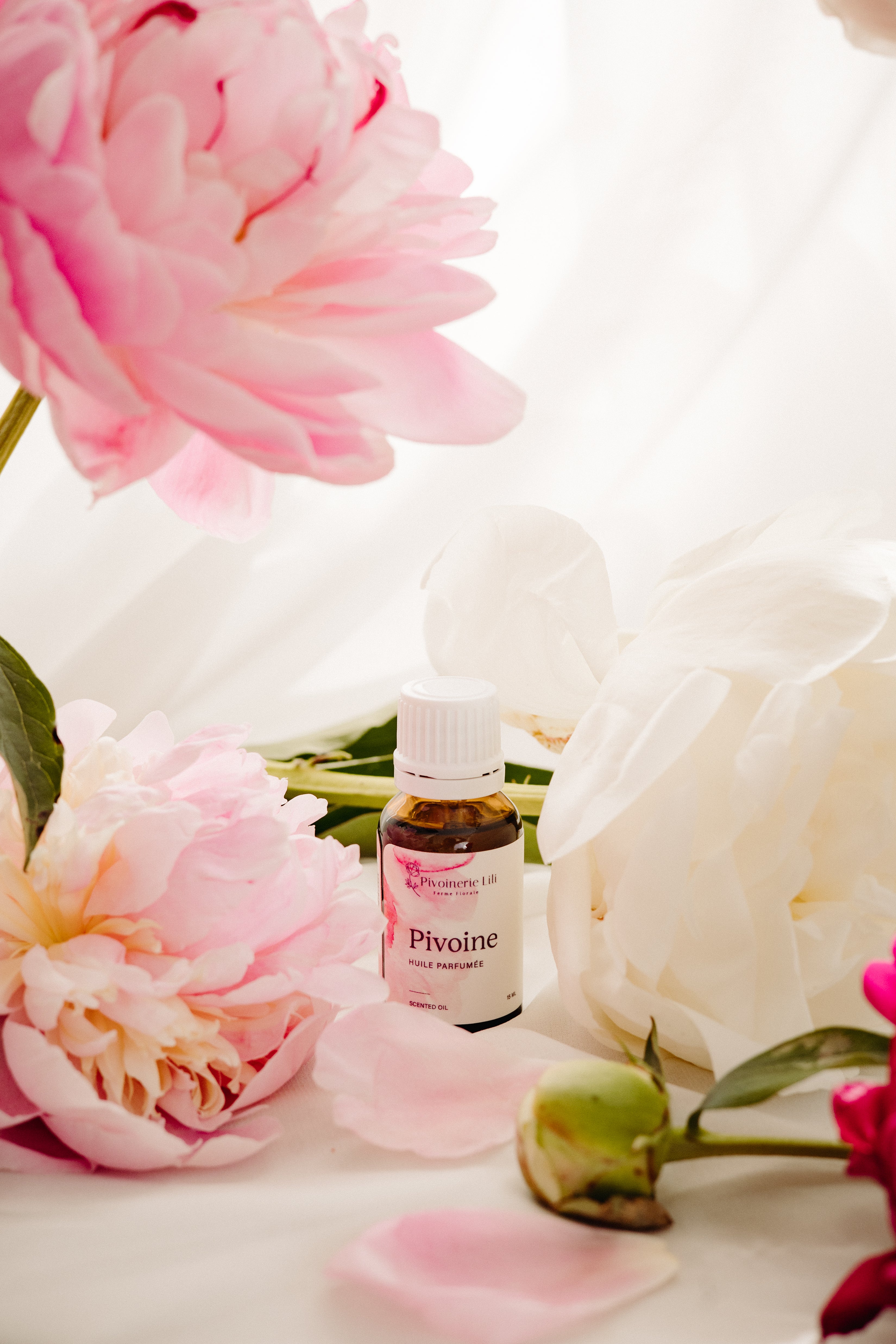 Huile parfumée – Pivoine