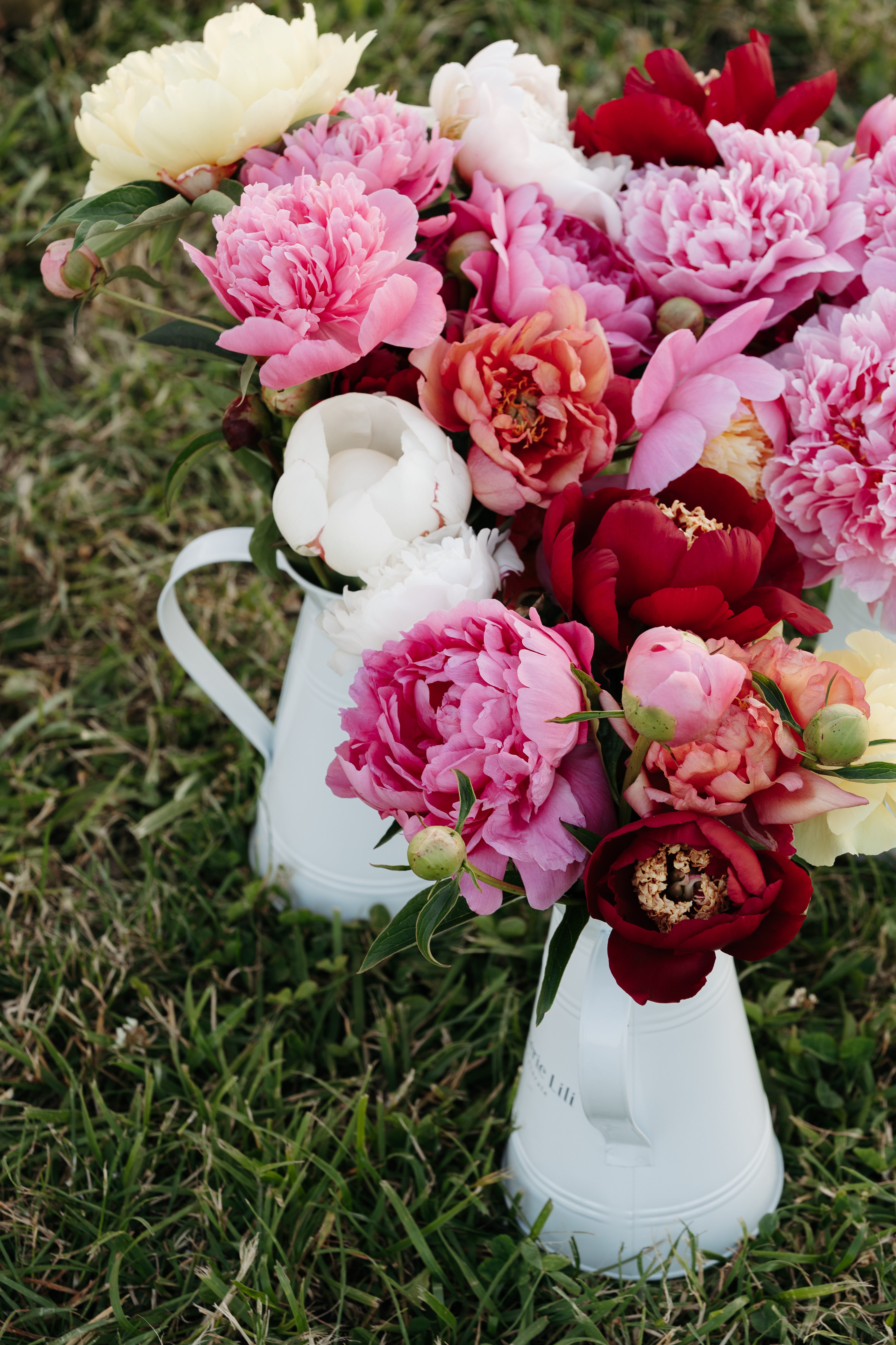 Peonies surprise bag