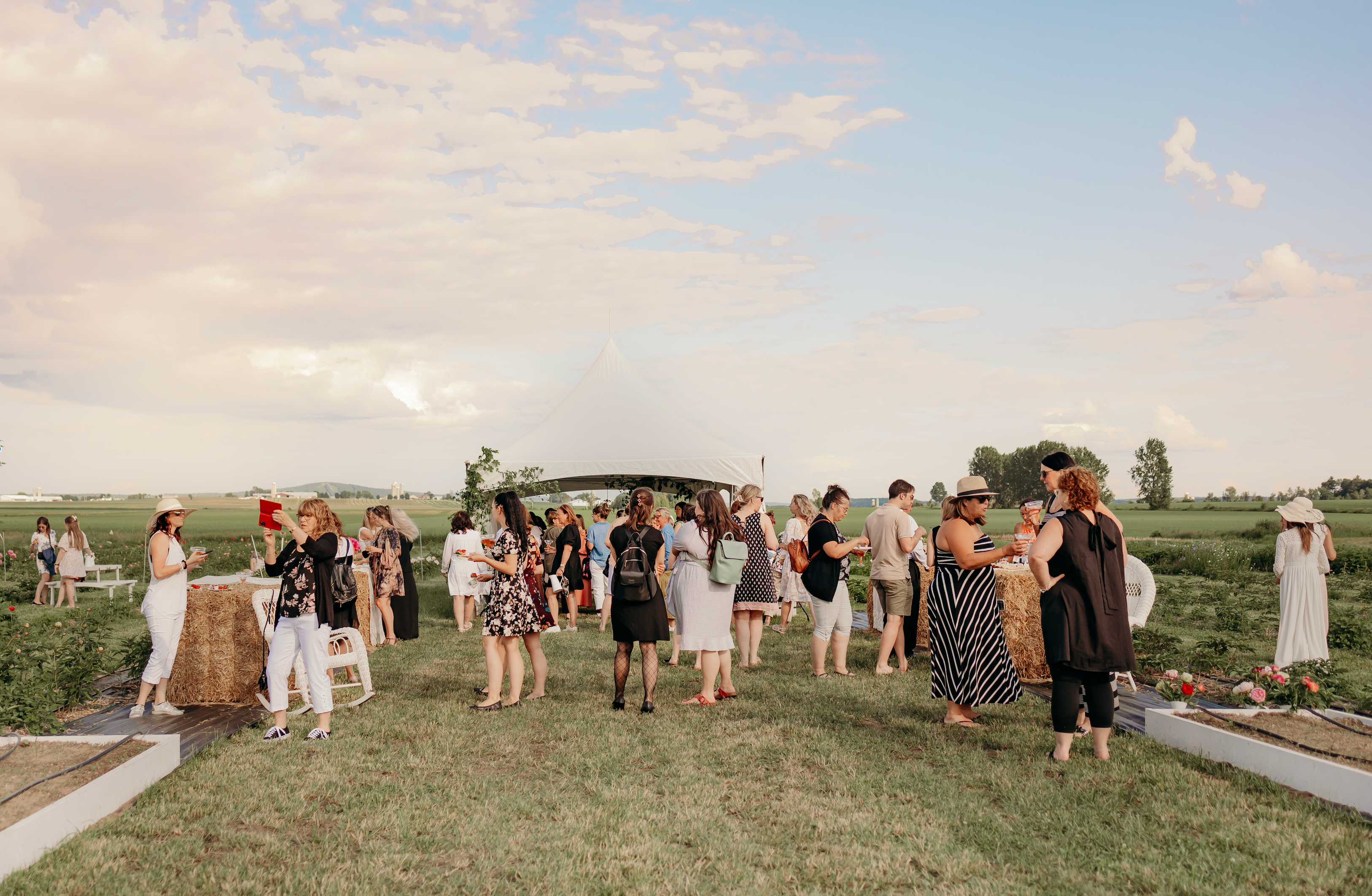 La soirée en ROSE – 11 juin - Soirée signature dans les champs de pivoines