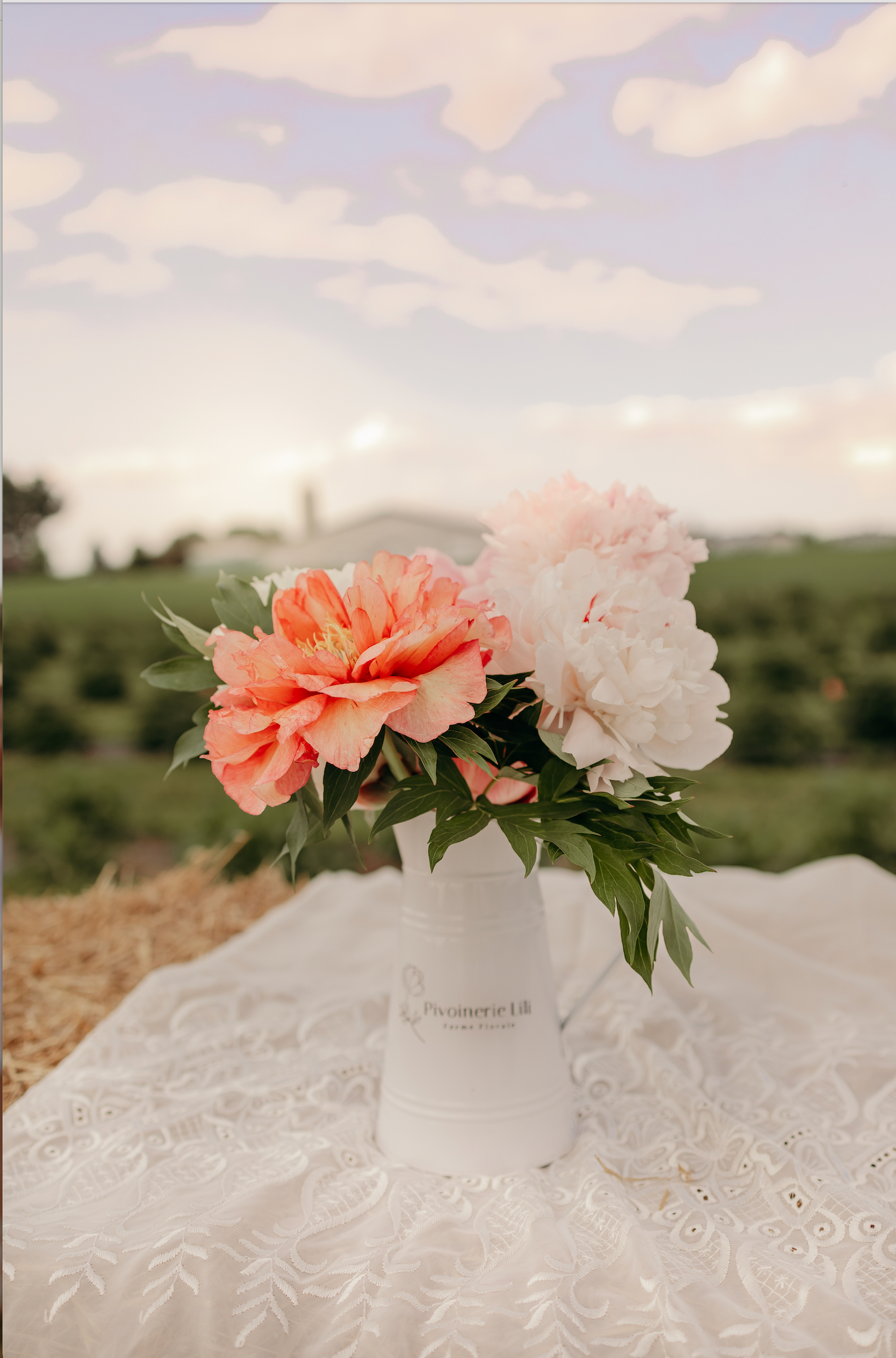 Pot de fleurs
