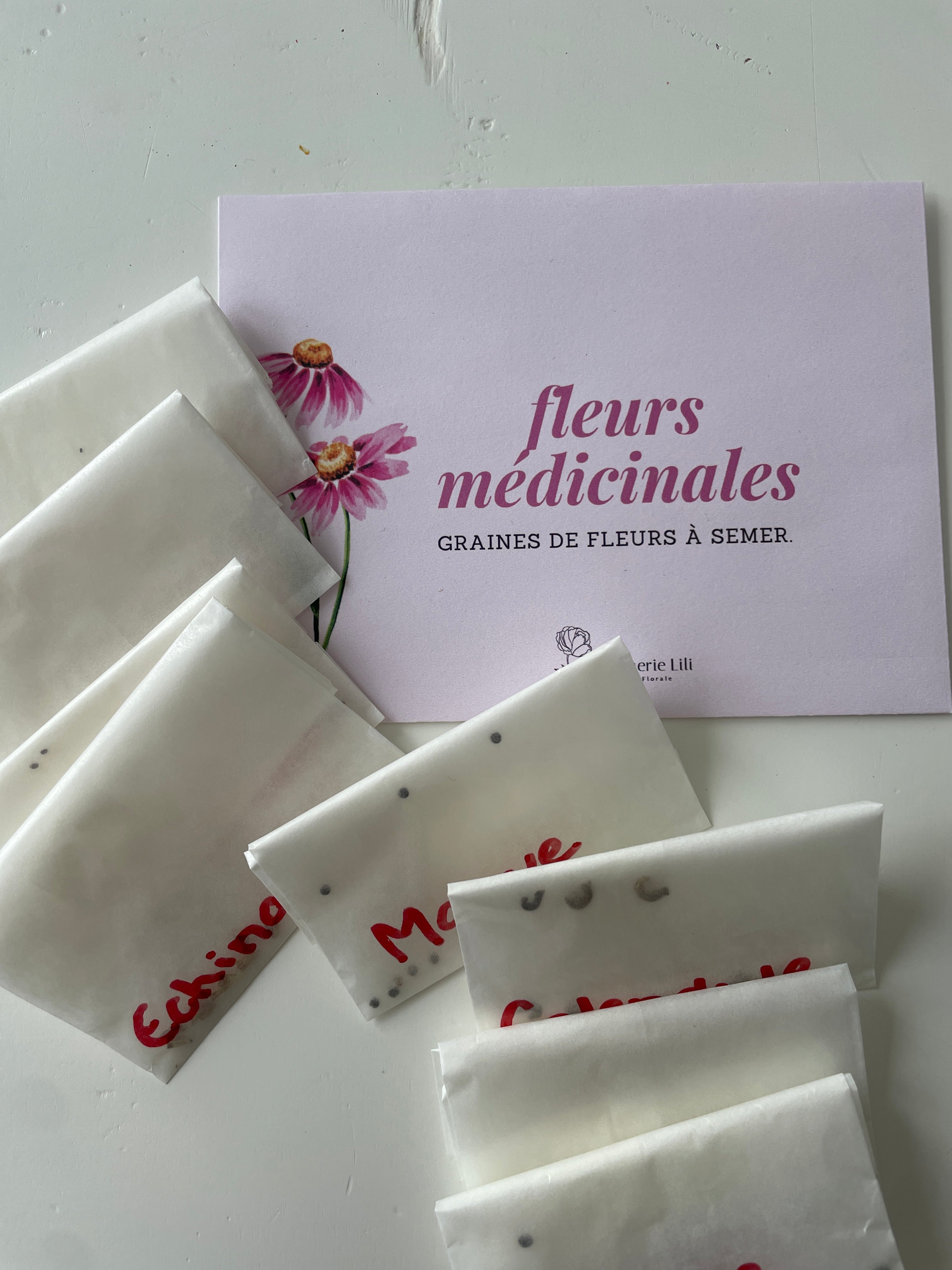 Semences – fleurs médicinales