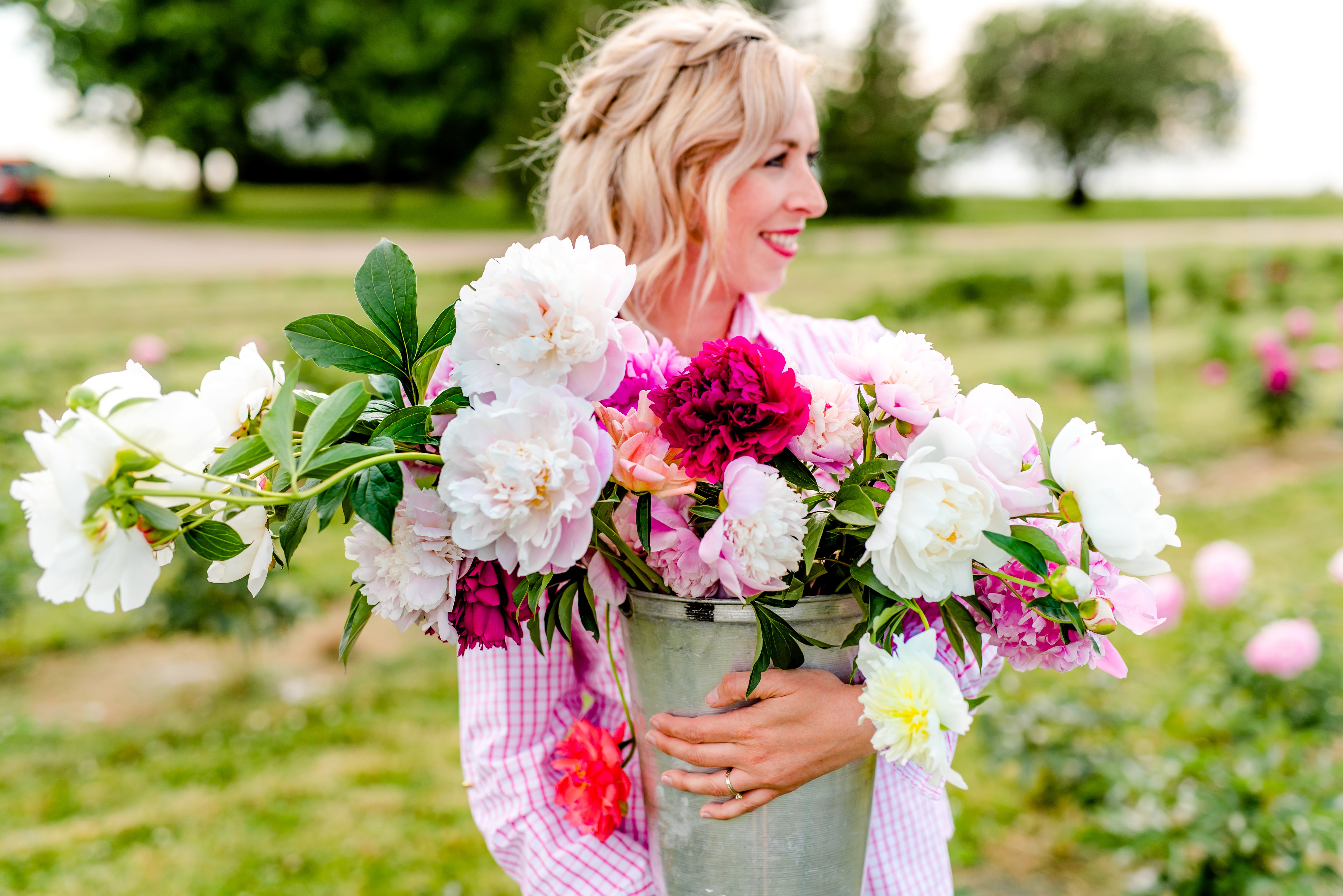 Pivoines en grande quantité - PRÉCOMMANDE