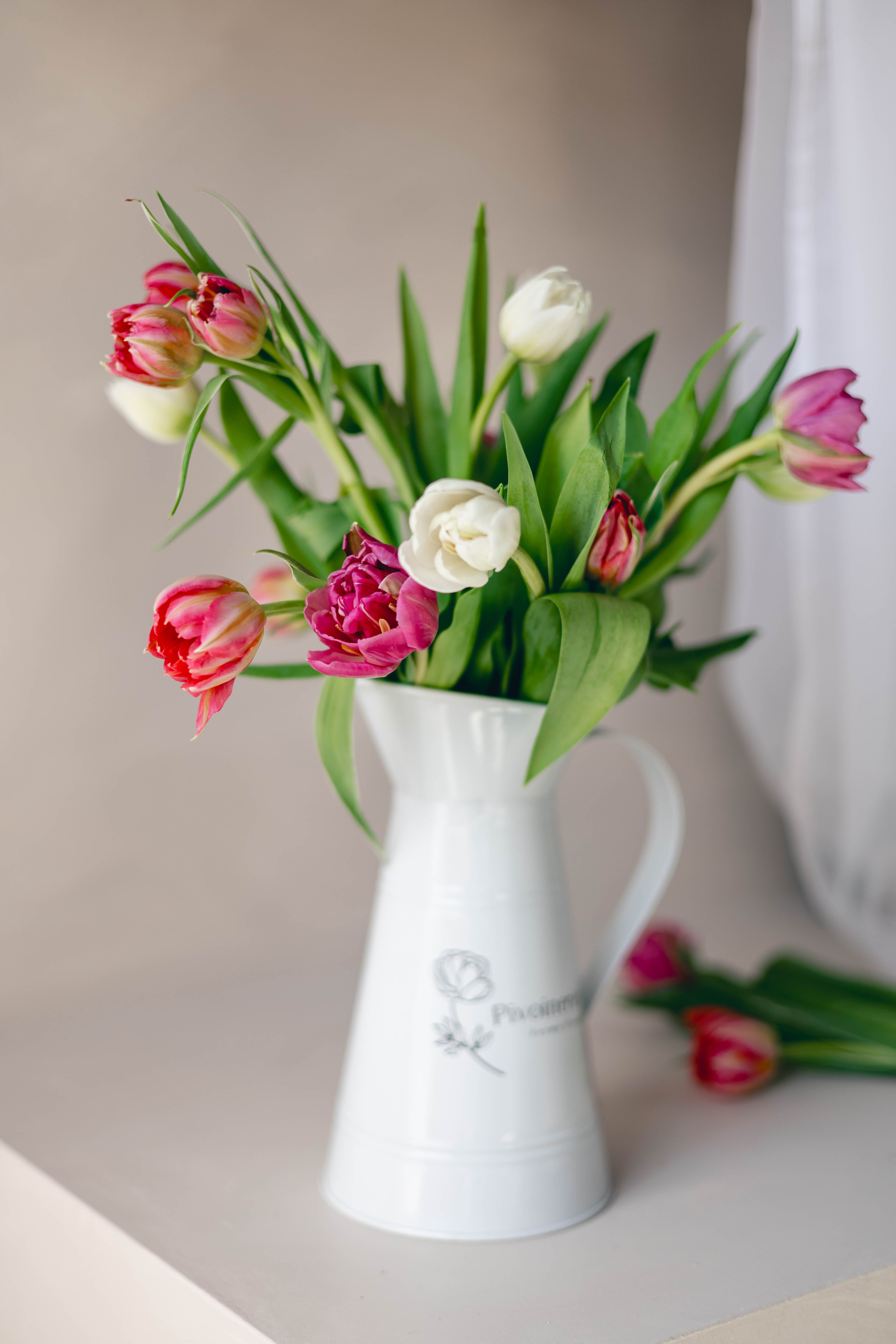 Bouquets de tulipes pour la Fête des Mères (ramassage à la ferme)