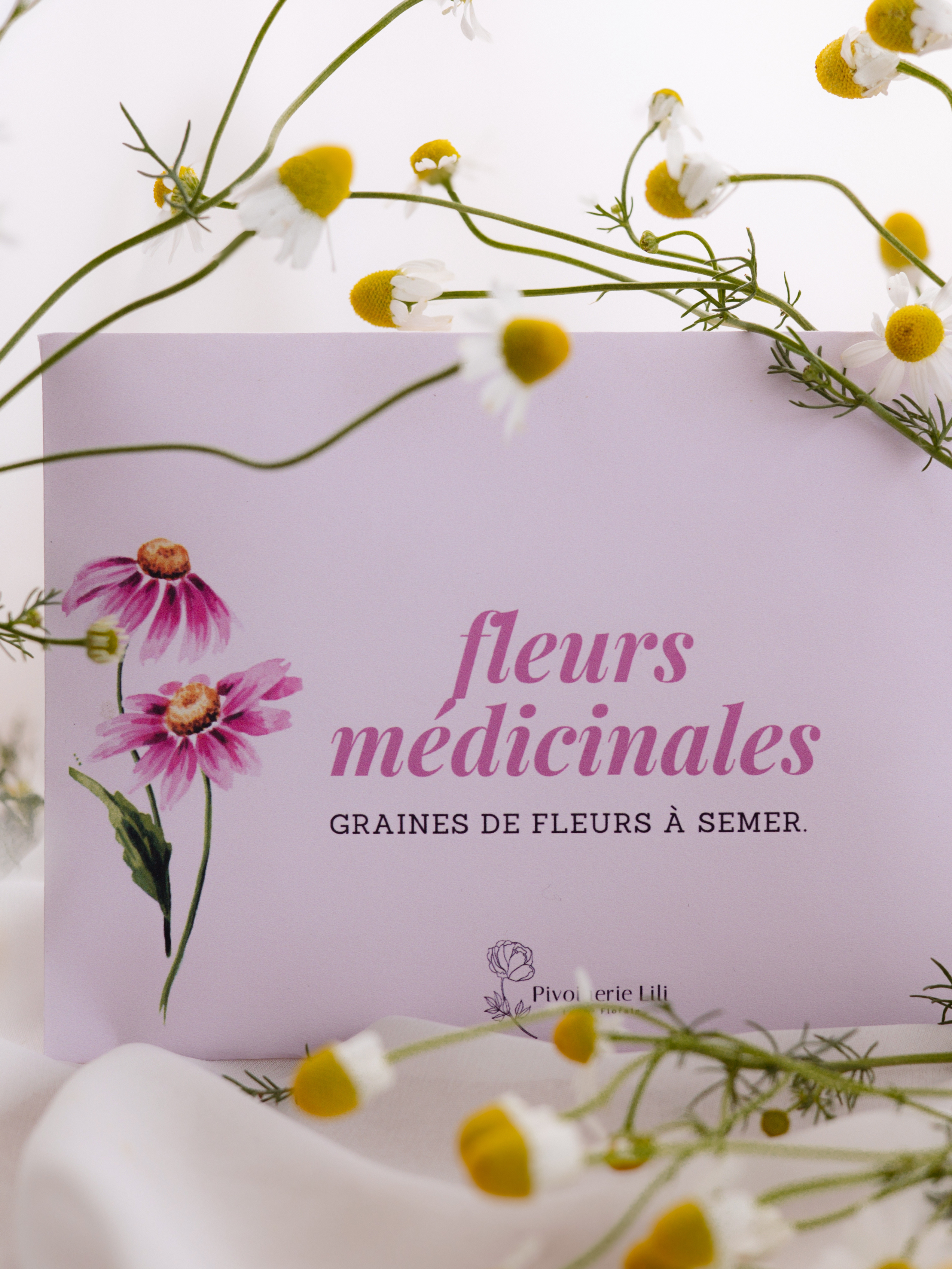 Semences – fleurs médicinales