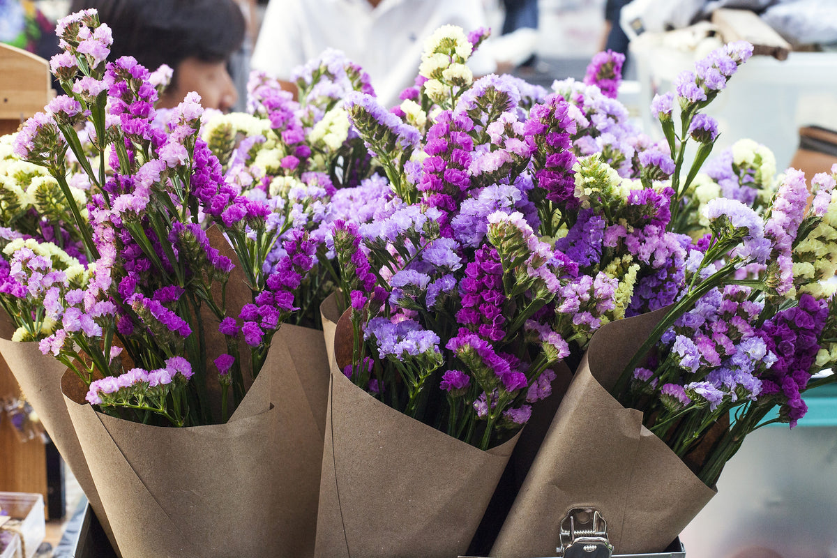 U-pick peonies: June
