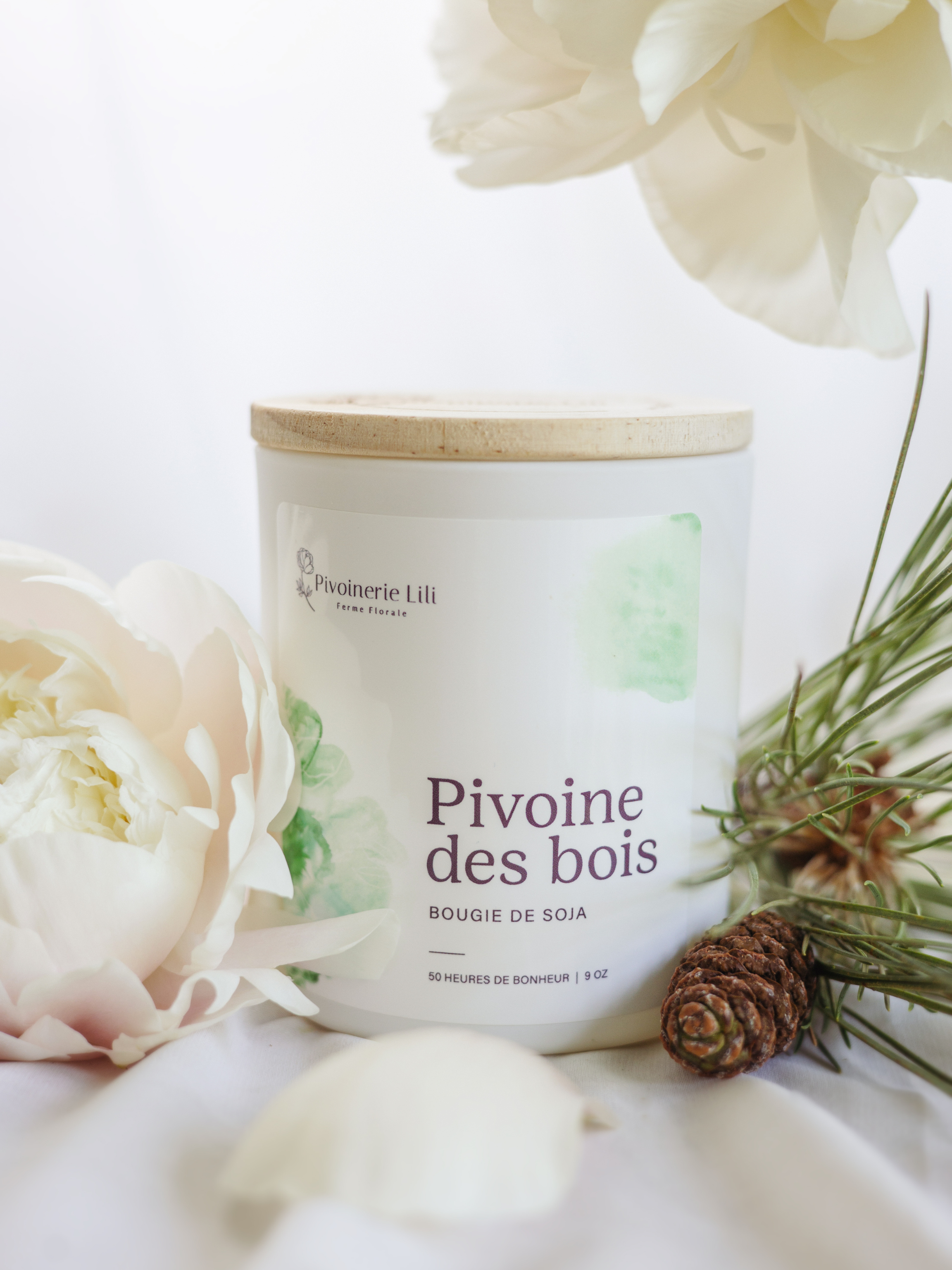 Bougie - Pivoine des Bois