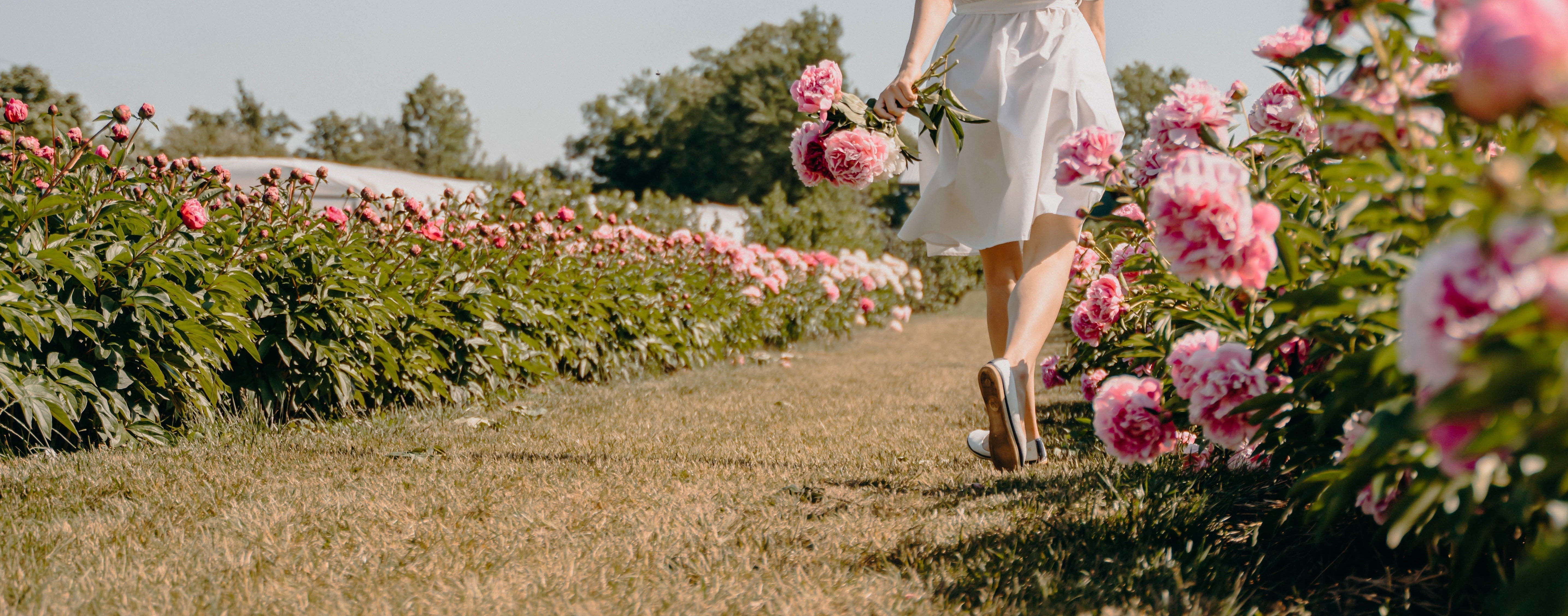 Offre de stage – Création de contenu, médias sociaux & expérience client