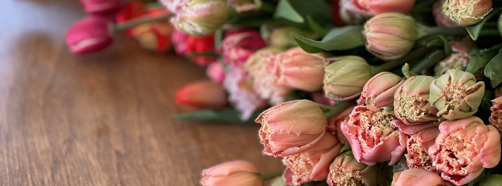 🌷 Comment prolonger la magie de votre bouquet de tulipes ?