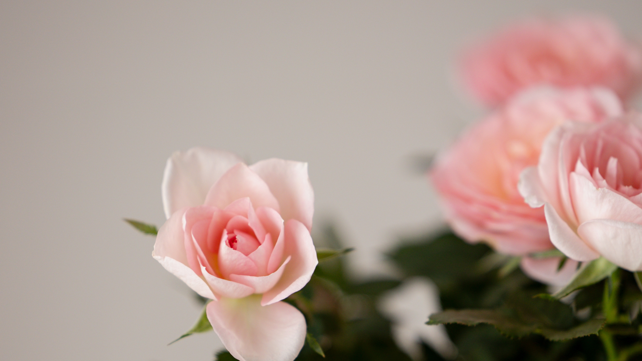 Tout le monde parle d’amour en février… mais qui prend soin de toi ?