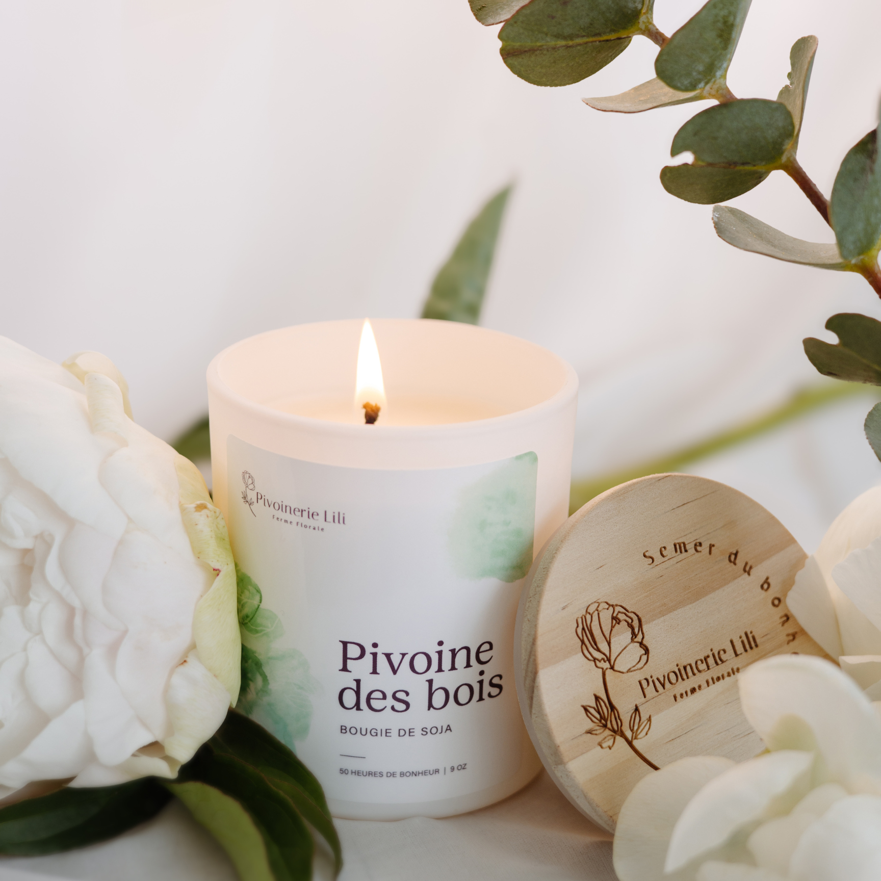 Pivoine des bois