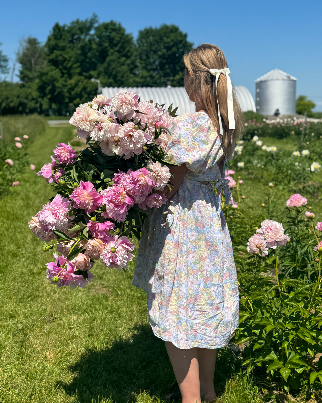 Peonies floral subscription (3 bouquets – June & July)