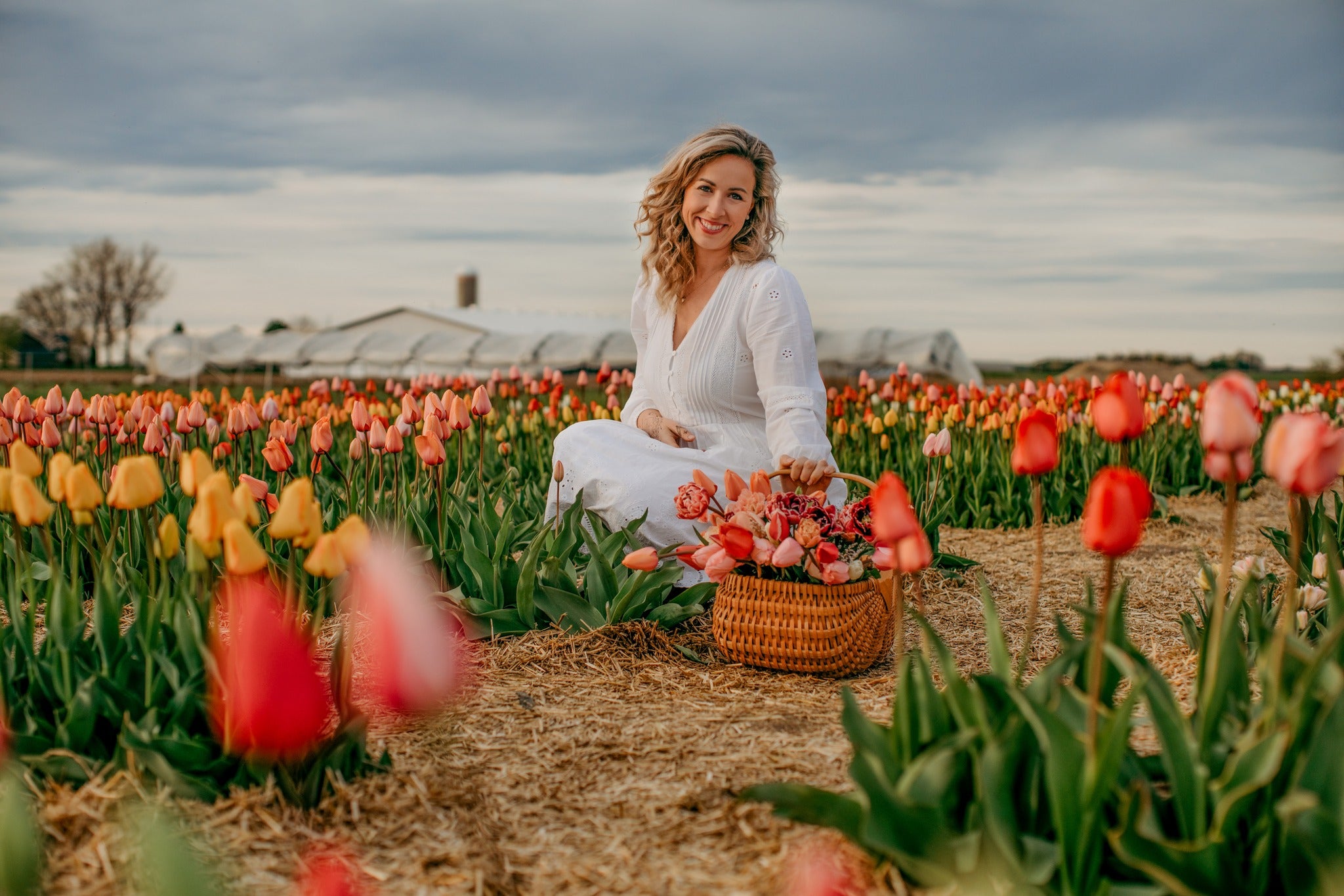 Autocueillette de tulipes : Mai