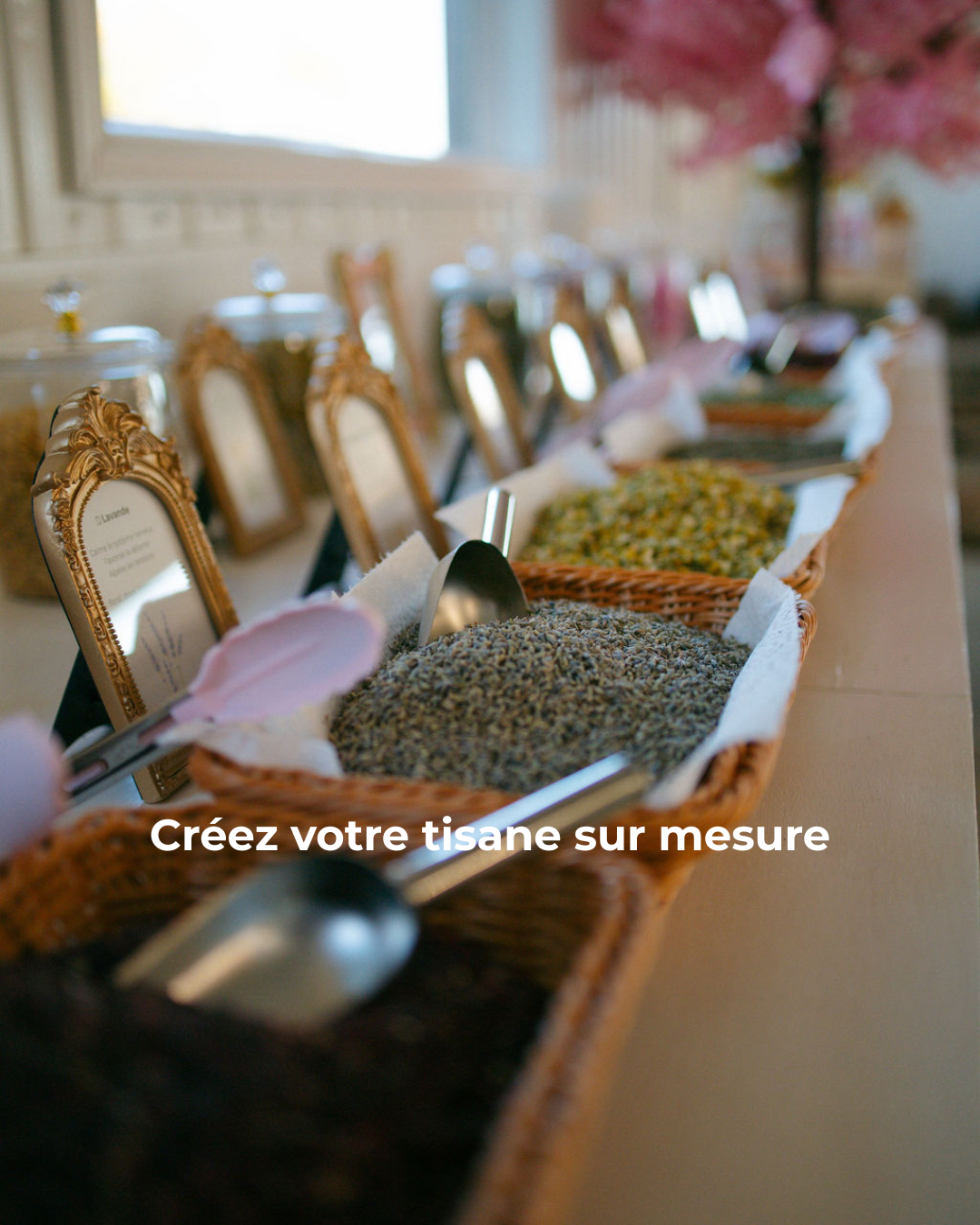 La Pivoinerie en mode Balade gourmande