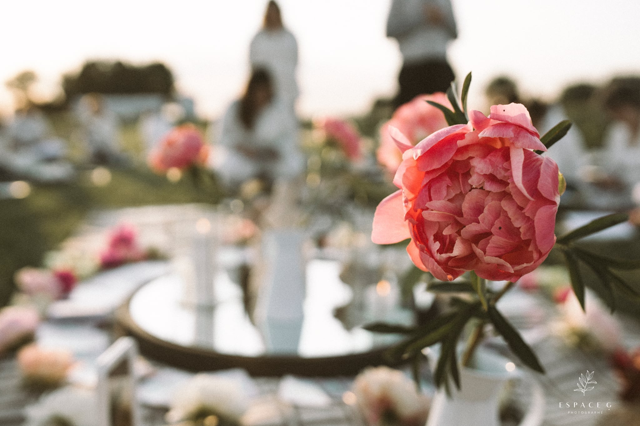 U-pick peonies: June