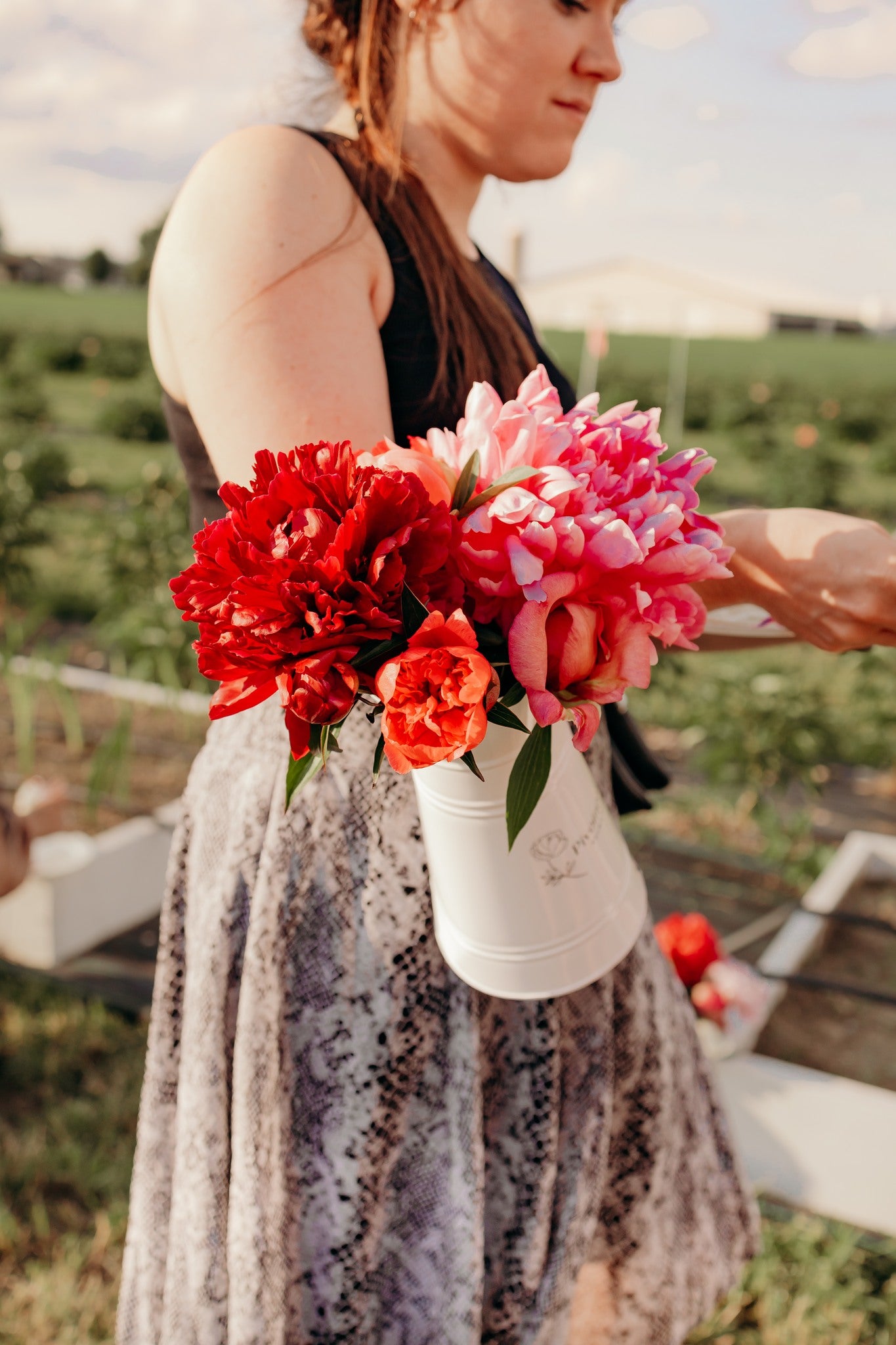 Autocueillette de pivoines: Juin