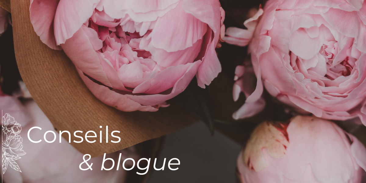 Pivoinerie Lili - Conseils et blogue sur les fleurs