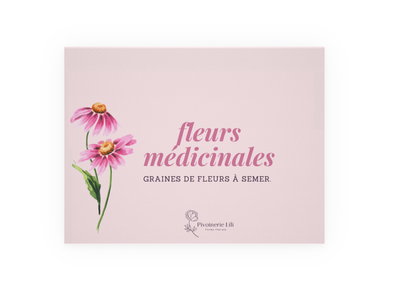 Semences – fleurs médicinales