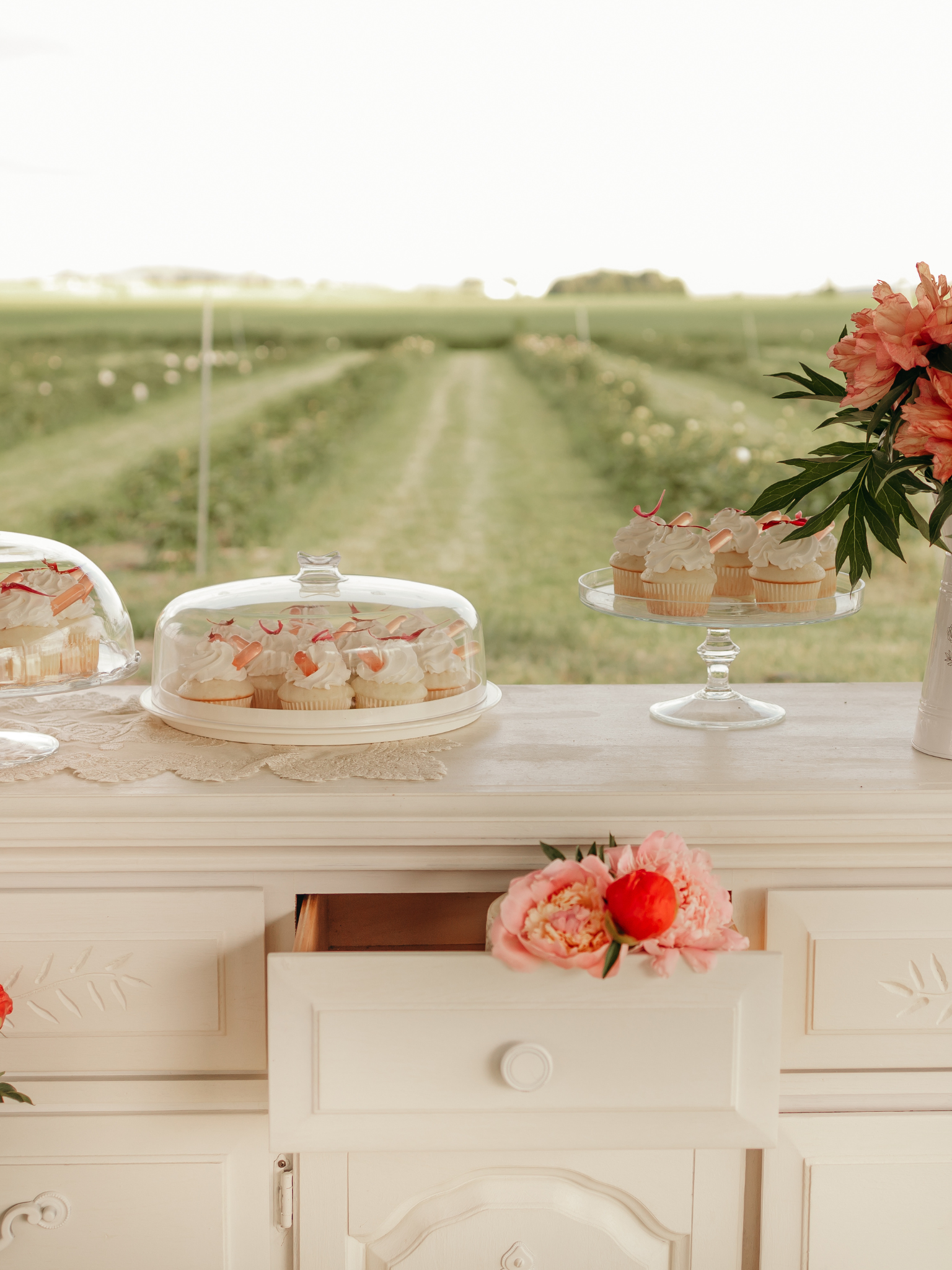 Invitation VIP pour nos détaillants - Pivoinerie Lili