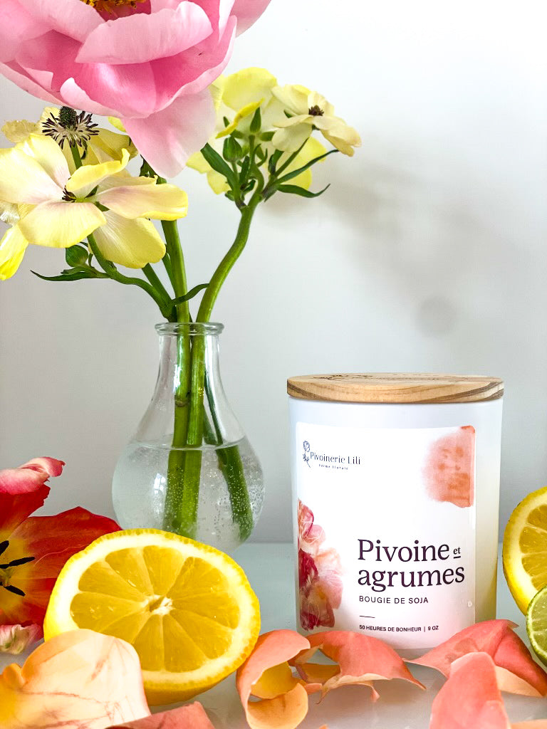 Bougie - Pivoine & Agrumes