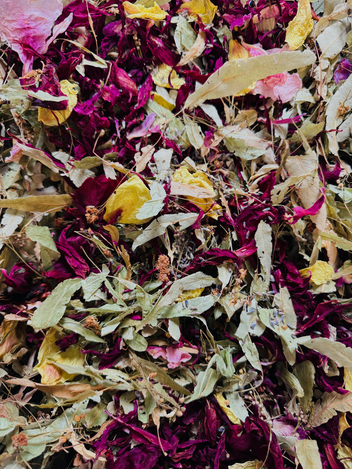 Herbal Tea Woman Flower