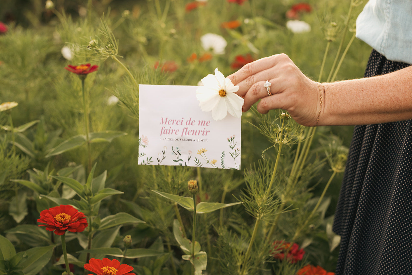 Semences – merci de me faire fleurir