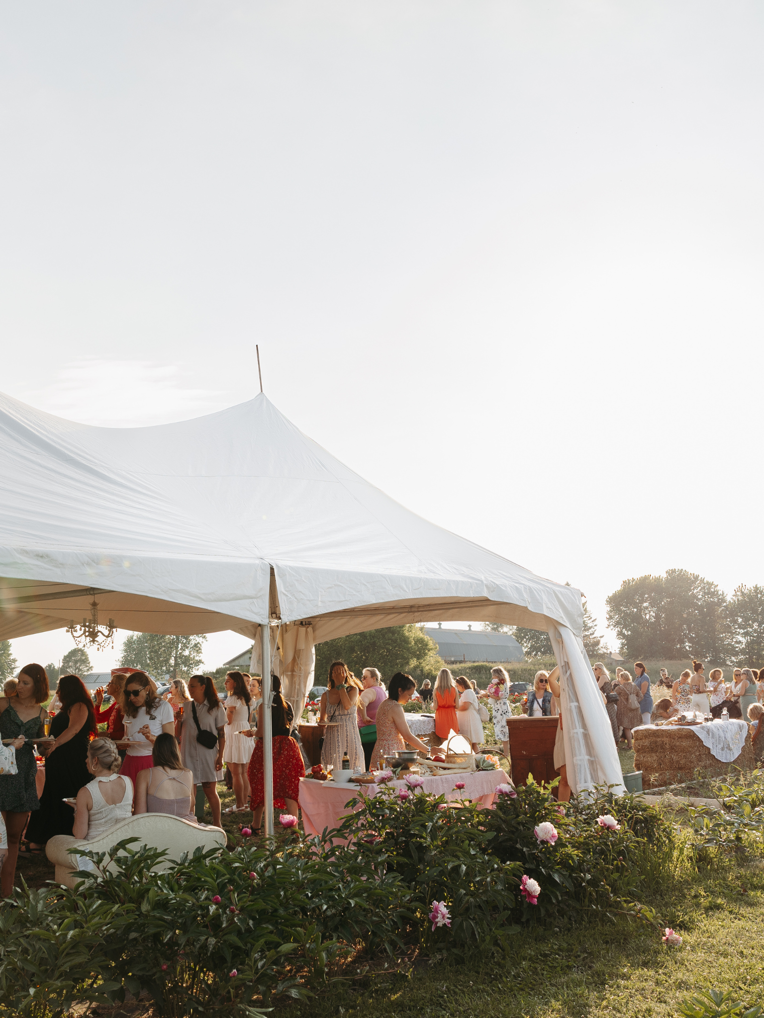 Immersion fleurie - Visite guidée tous les jeudis